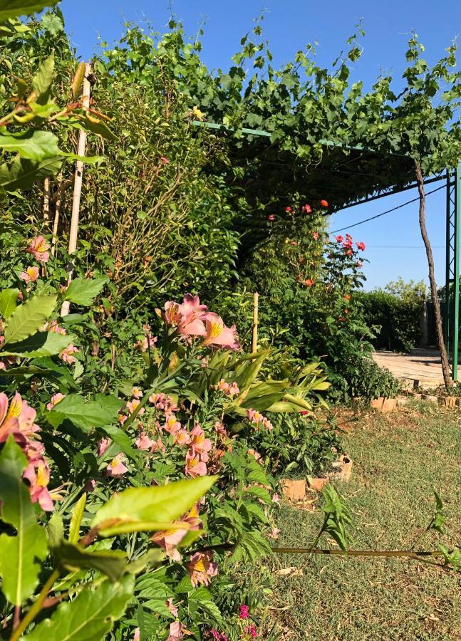 Appartamento Da Vjeri بولا المظهر الخارجي الصورة